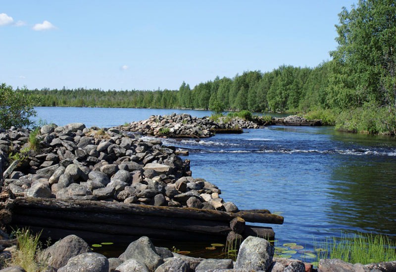 Река Водла в Карелии